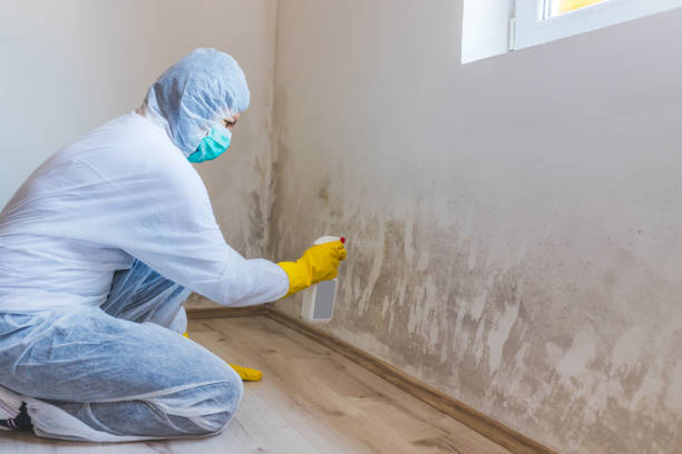 Mold inspector in Hathorne performing thermal imaging