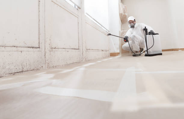 Black mold remediation team in Hathorne